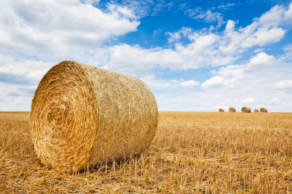 Real-Time News Curation - The Complete Guide Part 2: Aggregation Is Not Curation | Content Curation World | Scoop.it