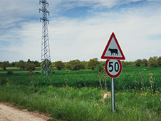 Agriculture et lignes &agrave; tr&egrave;s haute tension : RTE cultive la concertation - Groupe Caisse des D&eacute;p&ocirc;ts | Agriculture en Pays de la Loire | Scoop.it
