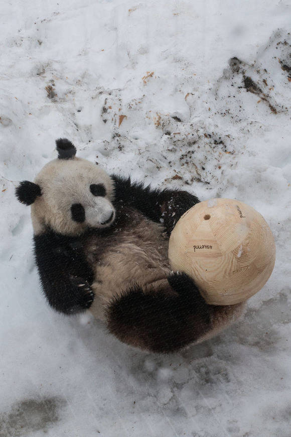 sairaala suku puoli video