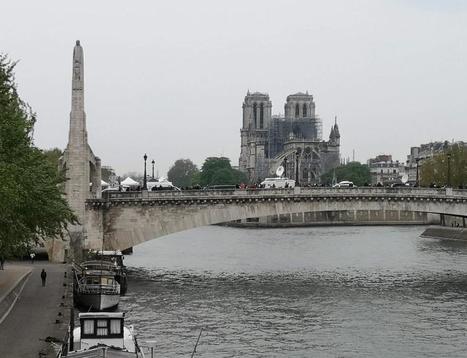 Cathédrale Notre-Dame : comment reconstruire la charpente ? | J'écris mon premier roman | Scoop.it