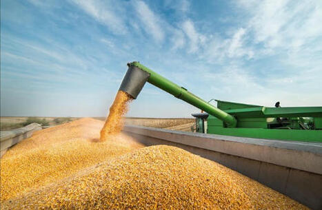 Southeast Asia emerges as key battleground for grain exports | Miller Magazine | MED-Amin network | Scoop.it