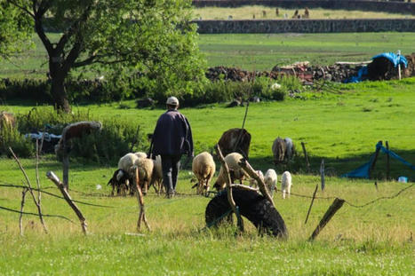 Sécheresse, pesticides, sexisme... Les 5 défis de l’agriculture française | Les Colocs du jardin | Scoop.it