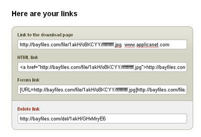 BayFiles: Partager des fichiers jusqu'&agrave; 500 Mb gratuitement | -th&eacute;caires | Espace num&eacute;rique et autoformation | Scoop.it