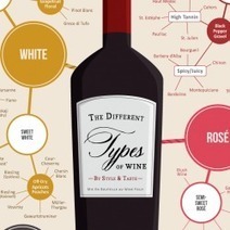 Different types of wine | Visual.ly | Public Relations & Social Marketing Insight | Scoop.it