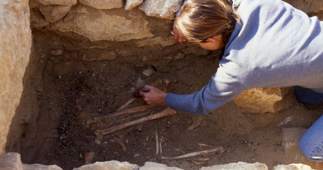 Home | Osteoware | Archaeology Tools | Scoop.it