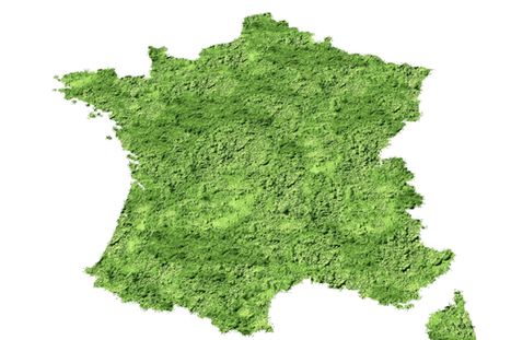 Succès inattendu pour les atlas de la biodiversité communale | Paysage - Environnement | Scoop.it
