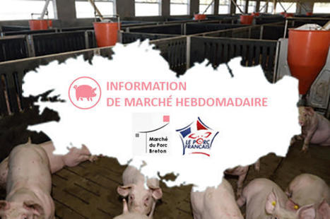 Porcs - Des marchés à l’équilibre | Actualité Bétail | Scoop.it