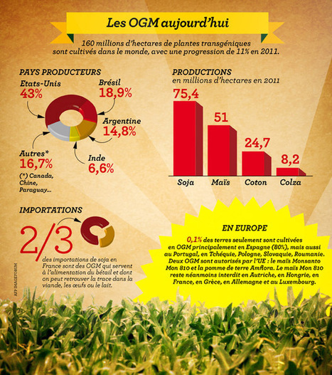 INFOGRAPHIE. Les OGM en France et dans le monde : on en est où ? | Sociologie du numérique et Humanité technologique | Scoop.it