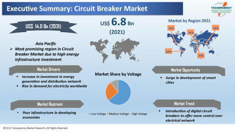 Circuit Breaker Market Share, Size and Industry Analysis by 2031 | Market Research | Scoop.it