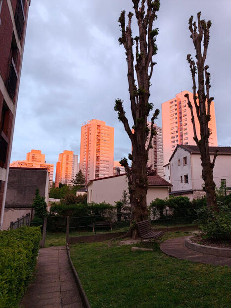 Test Oppo Find X9 Ultra : le nouveau roi de la photo sur smartphone | Gestion de la relation usagers | Scoop.it