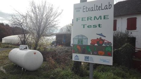S'essayer en agriculture, avant de s'installer | BABinfo Pays Basque | Scoop.it