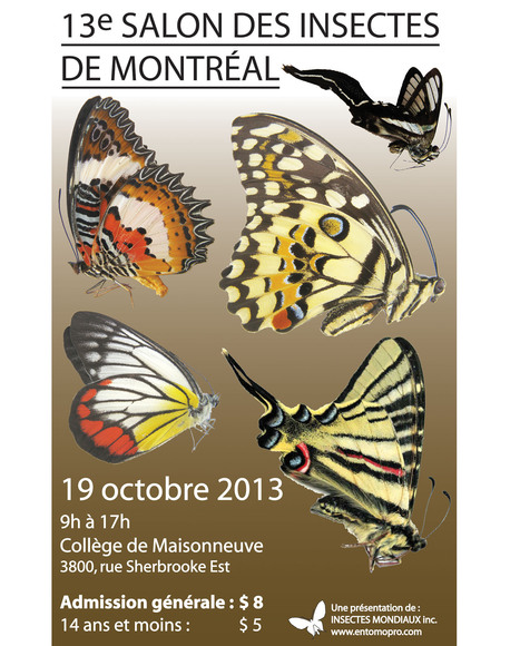 Salon des Insectes de Montréal | Variétés entomologiques | Scoop.it