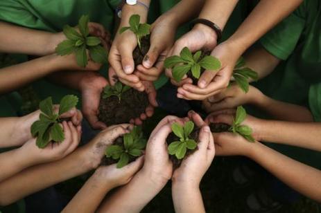 La permaculture : un art de vivre «autosuffisant» | La Sagesse de la Nature | Scoop.it
