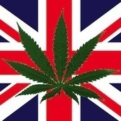 British woman did NOT die from marijuana poisoning | Beckley News : Cannabis - Marijuana | Scoop.it
