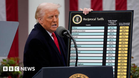 A year on: Four ways Trump's tariffs have changed the global economy | International Economics: IB Economics | Scoop.it