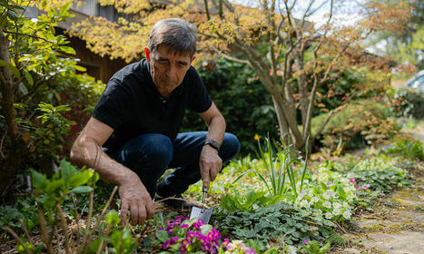 Pour François "Jardiner c'est choisir !" | Les Colocs du jardin | Scoop.it