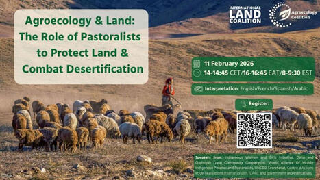 Agroecology and Land: The Role of PASTORALISTS to Protect Land and Combat Desertification&nbsp; | CIHEAM Press Review | Scoop.it