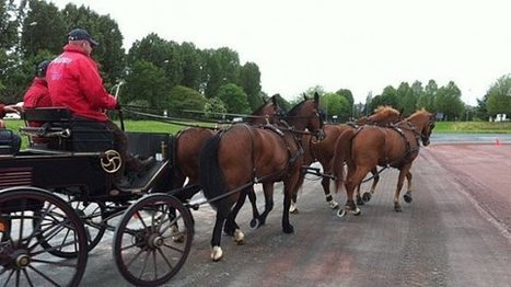 Caen : la carrière d'attelage des JEM 2014 testée ce jeudi 13 juin - France 3 Basse-Normandie | Cheval et sport | Scoop.it