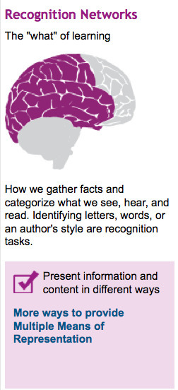 UDL Principle 1 and Web 2.0 - Wikis, Podcasts and Blogs | UDL - Universal Design for Learning | Scoop.it