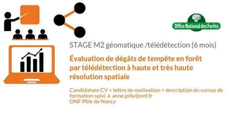 Lettre De Motivation Pour Master Geomatique