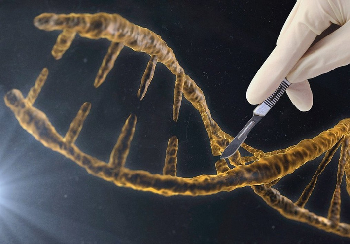 Doctors might one day treat cancer by cutting bad DNA out of your genes | The Health Report | Scoop.it