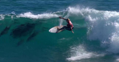 Surfer shares wave with dolphins during competition off Australia | Soggy Science | Scoop.it