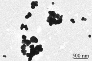 Additif alimentaire E171 : les premiers résultats de l’exposition orale aux nanoparticules de dioxyde de titane | Prévention du risque chimique | Scoop.it