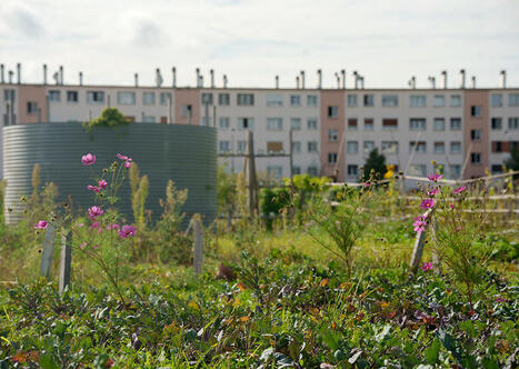 Politique de la ville : les deux tiers du programme de rénovation urbaine engagés fin 2024 mais risque de trésorerie déficitaire dès 2026 | Veille juridique du CDG13 | Scoop.it