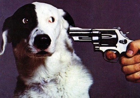 When Do I Release My Film &mdash; and Where? Release Windows, Demystified | Transmedia: Storytelling for the Digital Age | Scoop.it