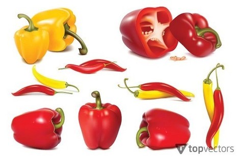 Realistic Pepper Vectors Free Download - Vector Arts Hub | Drawing References and Resources | Scoop.it