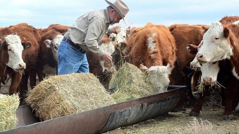 How Trump&rsquo;s new NAFTA could boost American farming | L'ECHO DEMETER | Scoop.it