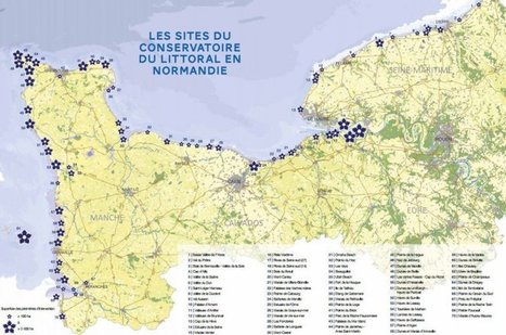 Les zones humides normandes en voie de protection - France 3 Normandie | Biodiversité | Scoop.it