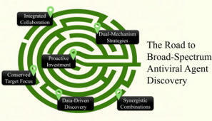 Challenges of broad-spectrum antiviral drug discovery and development for emerging pathogens - ScienceDirect | Virology News | Scoop.it