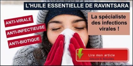 Huile essentielle de ravintsara : Anti-virale par excellence | La Cabane aux Arômes | Scoop.it