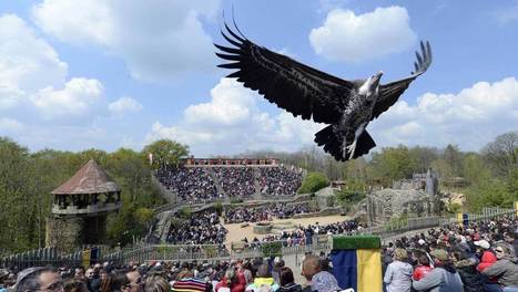 Vend&eacute;e. Le Puy du Fou annonce sa r&eacute;ouverture pour le 11 juin | Revue de presse th&eacute;&acirc;tre | Scoop.it