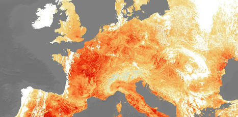 CLIMAT : Les risques de températures extrêmes en Europe de l’Ouest sont sous-estimés | MED-Amin network | Scoop.it
