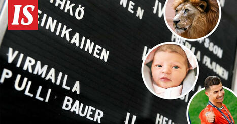 Tällaisia ovat uudet suomalaiset sukunimet: Jellona, Neilikka, Suosikki... | 1Uutiset - Lukemisen tähden | Scoop.it