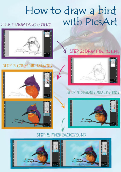 Main Steps on How to Draw a Bird | Drawing and Painting Tutorials | Scoop.it