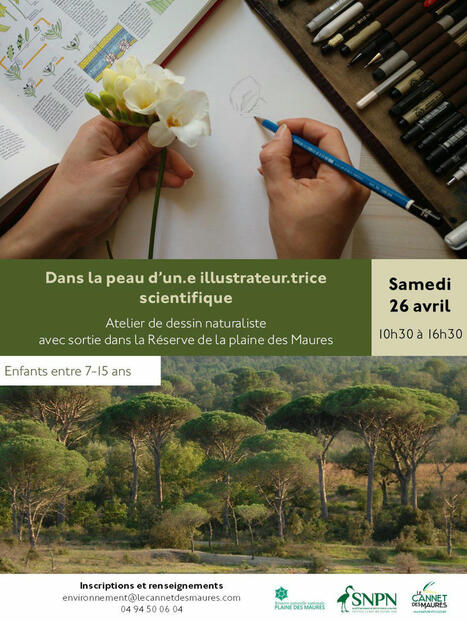 [Entomo-Calendrier] Dans la peau d’un.e illustrateur.trice scientifique ! | Variétés entomologiques | Scoop.it