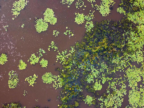 Les niveaux mondiaux de mercure dans les rivières ont doublé depuis 1850 | Planète DDurable | Scoop.it
