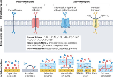 Bioiontronics | Nrb | RMH | Scoop.it