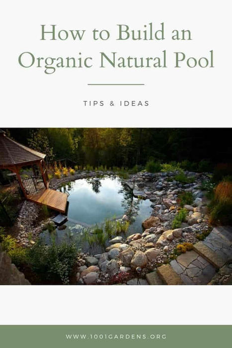 How to Build an Organic Natural Pool | 1001 Gardens ideas ! | Scoop.it