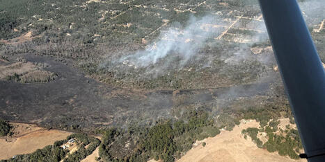 Putnam County remains under emergency as a brush fire burns underground - WCJB | Operation Deimos | Scoop.it