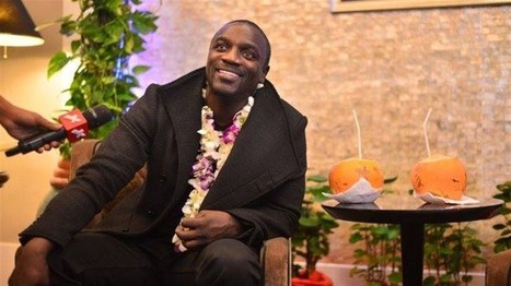 Akon to bring solar power to 600 million Africans living without electricit | Peer2Politics | Scoop.it