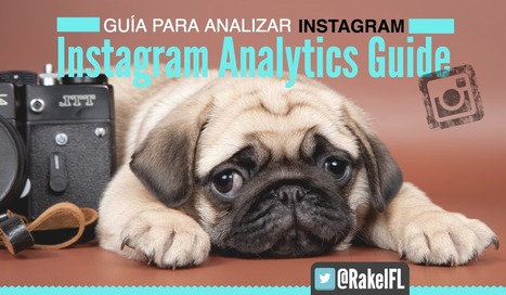 INSTAGRAM ANALYTICS GUIDE: Guía completa para Analizar Instagram | Seo, Social Media Marketing | Scoop.it