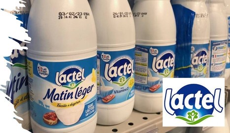 Lactel est la marque de lait la plus vendue en France | Lait de Normandie... et d'ailleurs | Scoop.it