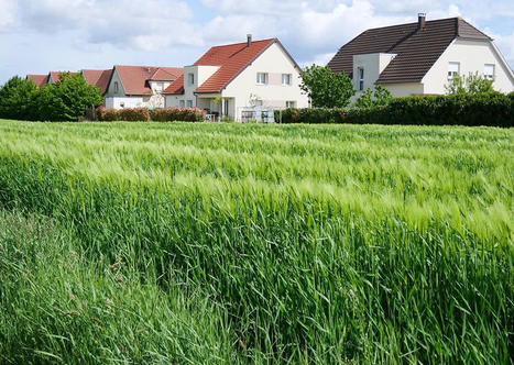 Territorialisation du zéro artificialisation nette : une nouvelle circulaire somme les préfets d'agir dans la semaine | Banque des territoires | La SELECTION du Web | CAUE des Vosges - www.caue88.com | Scoop.it