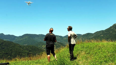 Pyrénées : comment les drones impactent la faune sauvage et quelle conduite doit-on tenir | Vallées d'Aure & Louron - Pyrénées | Scoop.it
