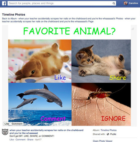 Inside the Facebook News Feed: A List of Algorithm Factors | Social Media Power | Scoop.it
