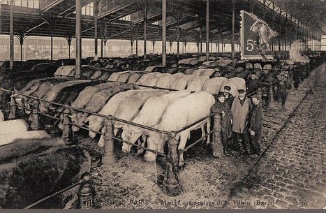Les anciennes rues de Paris | Les Abattoirs de la Villette | 19ème arrondissement | La Gazette des abattoirs | Scoop.it